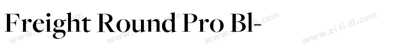 Freight Round Pro Bl字体转换